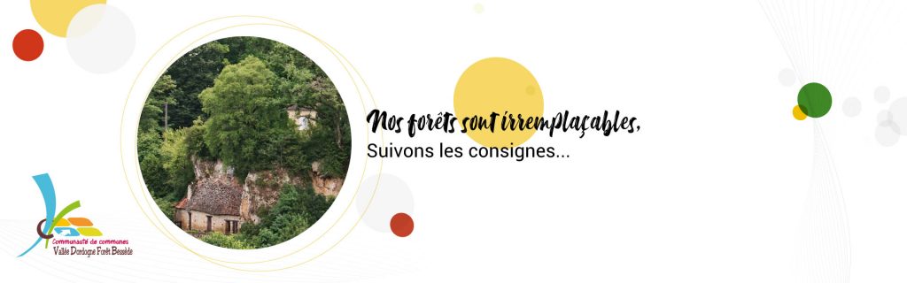 feu de forêts, suivons les consignes