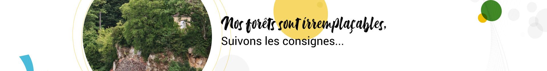 Protégeons nos forêts