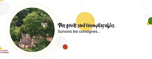 feu de forêts, suivons les consignes