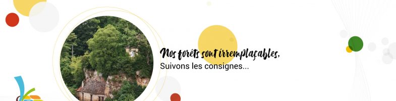 Protégeons nos forêts