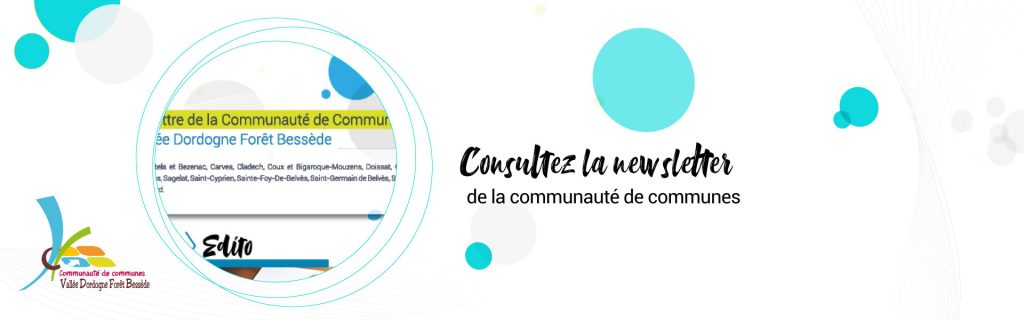 Newsletter CCVDFB