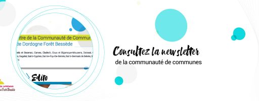 Newsletter CCVDFB