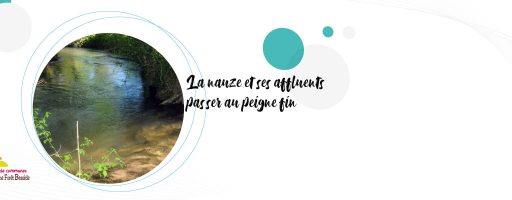 etude de la nauze et de ses affluents