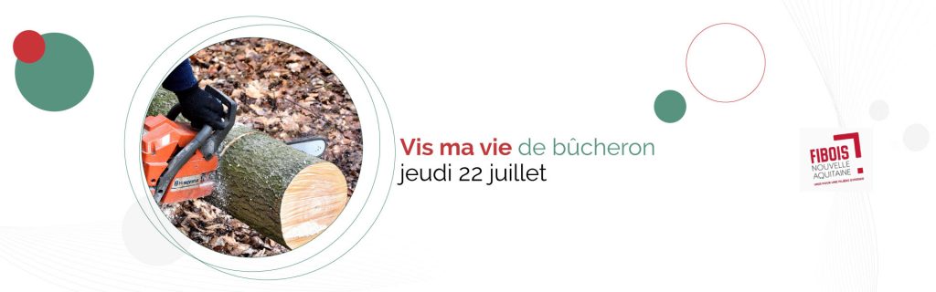 vis ma vie de bucheron