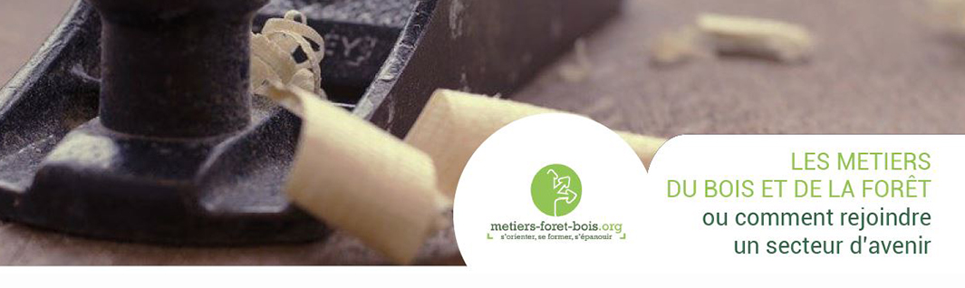 metiers foret bois