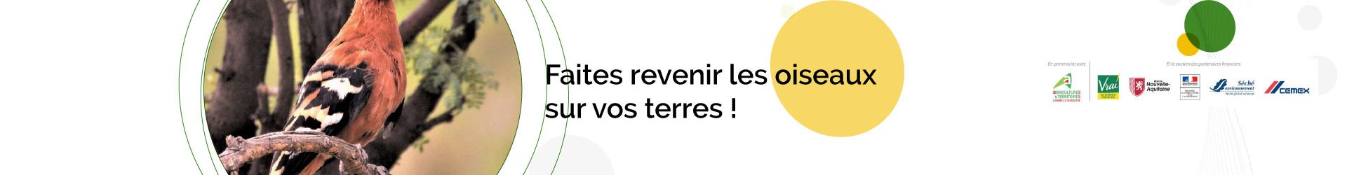 Faites revenir les oiseaux sur vos terres !