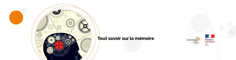 Tout savoir sur la mémoire