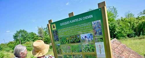 Chemin des oiseaux et de la biodiversité